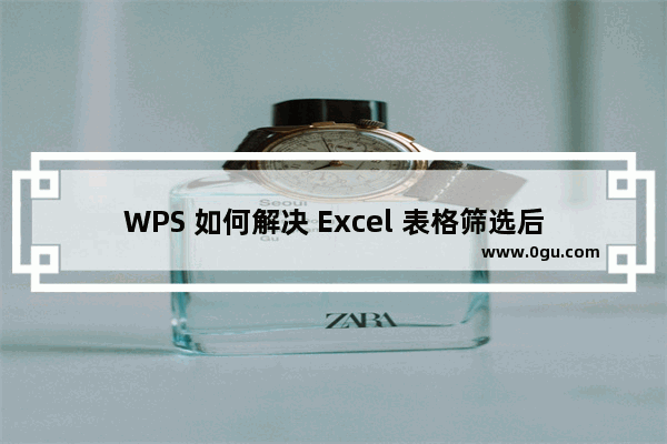 WPS 如何解决 Excel 表格筛选后图片重叠的问题