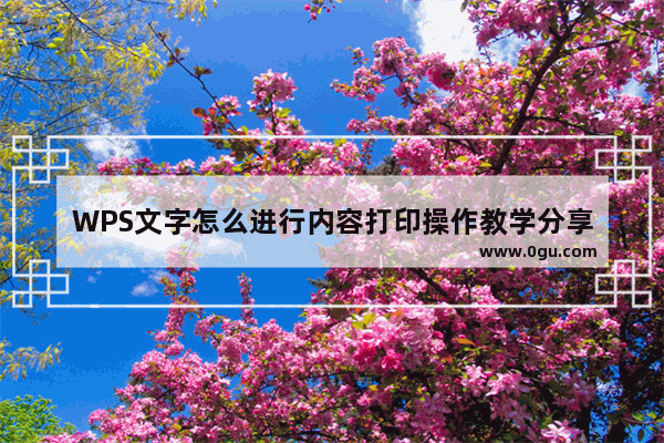 WPS文字怎么进行内容打印操作教学分享