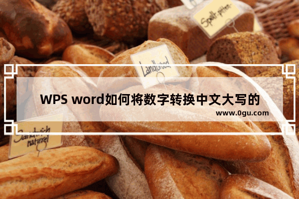 WPS word如何将数字转换中文大写的两种方法