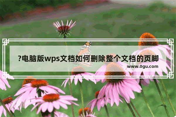 ?电脑版wps文档如何删除整个文档的页脚页码