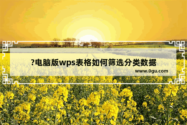 ?电脑版wps表格如何筛选分类数据