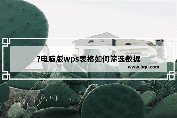 ?电脑版wps表格如何筛选数据