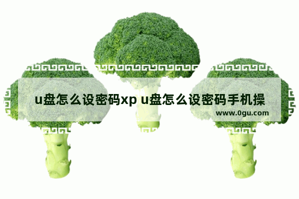 u盘怎么设密码xp u盘怎么设密码手机操作