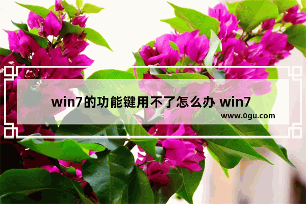 win7的功能键用不了怎么办 win7 win键不能用