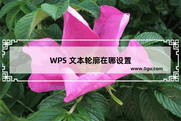 WPS 文本轮廓在哪设置