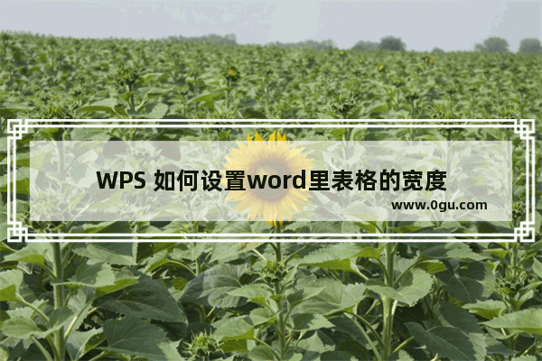 WPS 如何设置word里表格的宽度