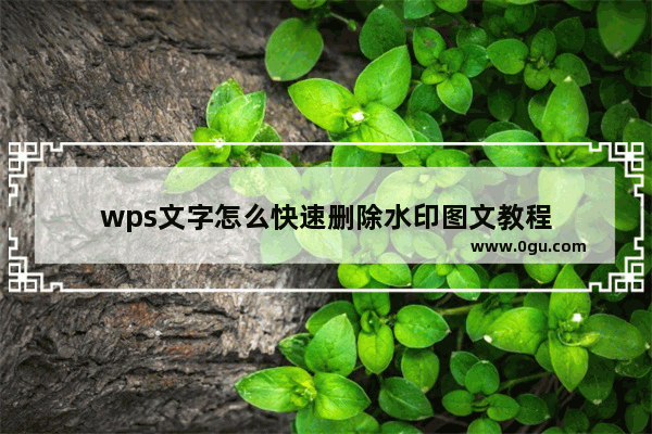 wps文字怎么快速删除水印图文教程