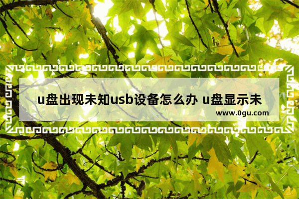 u盘出现未知usb设备怎么办 u盘显示未知usb设备