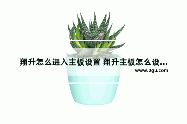 翔升怎么进入主板设置 翔升主板怎么设置硬盘启动