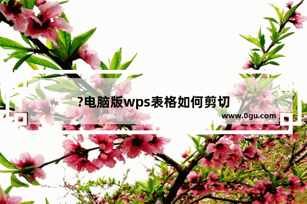 ?电脑版wps表格如何剪切