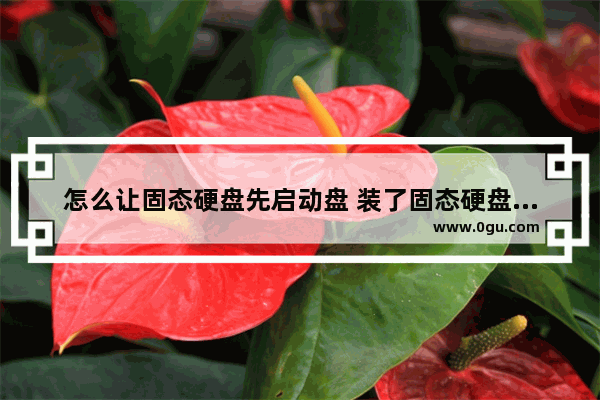 怎么让固态硬盘先启动盘 装了固态硬盘怎么设置优先启动