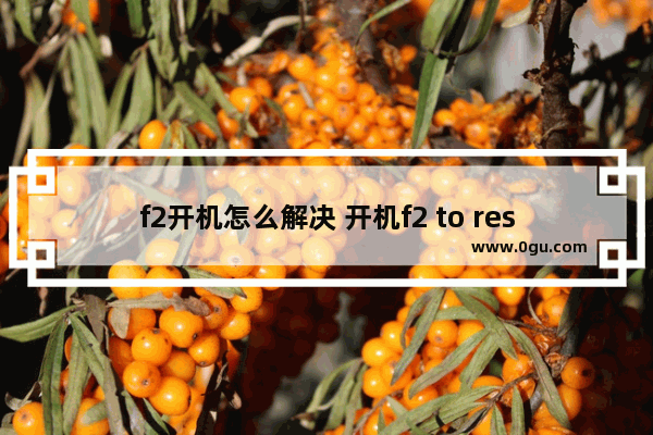 f2开机怎么解决 开机f2 to resume