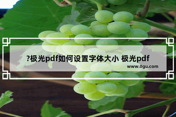 ?极光pdf如何设置字体大小 极光pdf调整pdf文件字号大小的方法