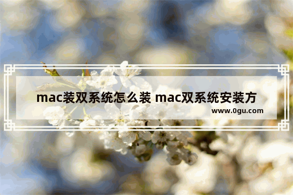 mac装双系统怎么装 mac双系统安装方法