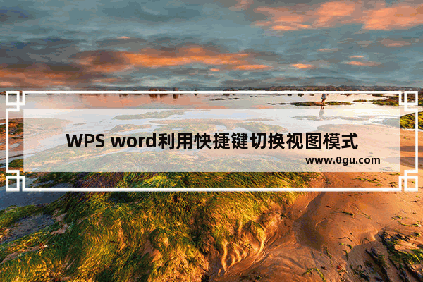 WPS word利用快捷键切换视图模式