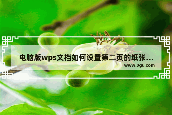 电脑版wps文档如何设置第二页的纸张大小