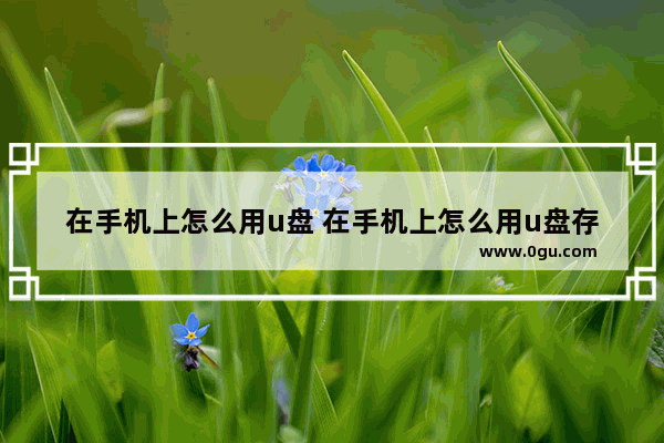 在手机上怎么用u盘 在手机上怎么用u盘存视频