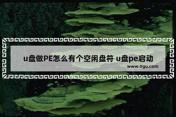 u盘做PE怎么有个空闲盘符 u盘pe启动盘有个空闲分区