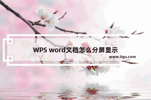 WPS word文档怎么分屏显示