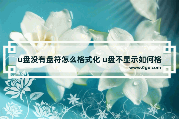 u盘没有盘符怎么格式化 u盘不显示如何格式化
