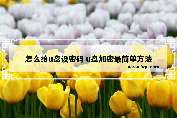 怎么给u盘设密码 u盘加密最简单方法