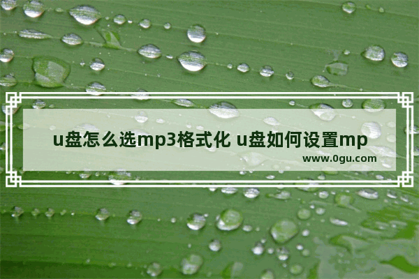 u盘怎么选mp3格式化 u盘如何设置mp3格式