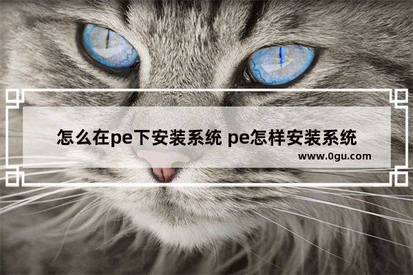 怎么在pe下安装系统 pe怎样安装系统