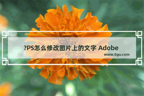 ?PS怎么修改图片上的文字 Adobe Photoshop修改图片中文字的方法教程