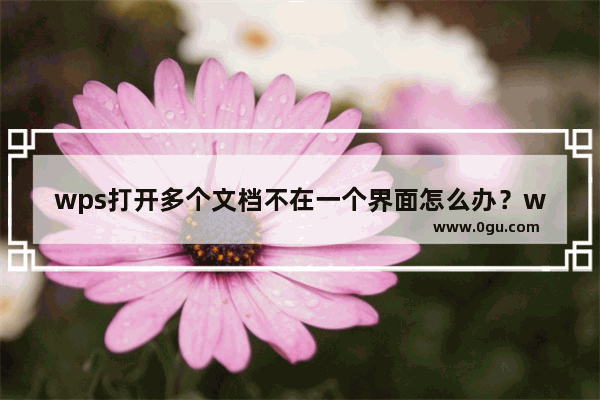 wps打开多个文档不在一个界面怎么办？wps打开多个文档不在一个界面的解决方法