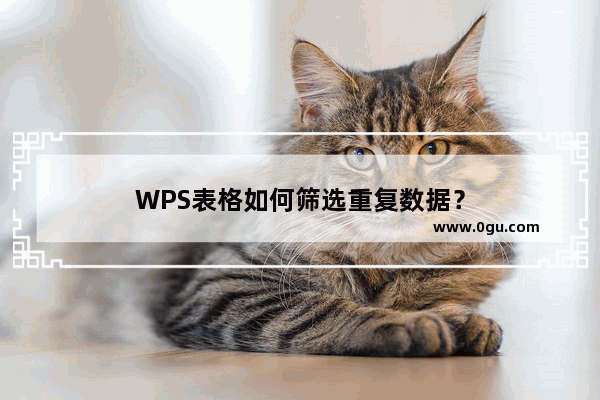 WPS表格如何筛选重复数据？