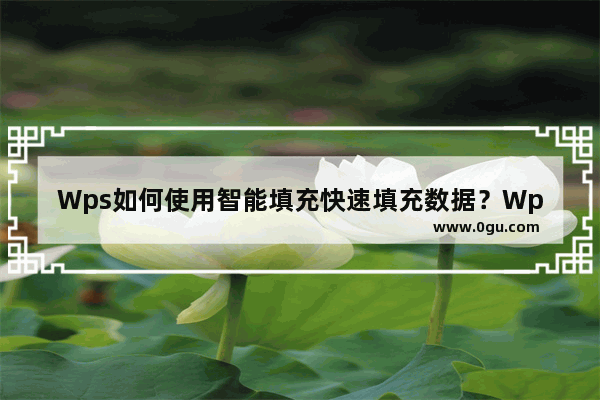 Wps如何使用智能填充快速填充数据？Wps快速填充数据的方法