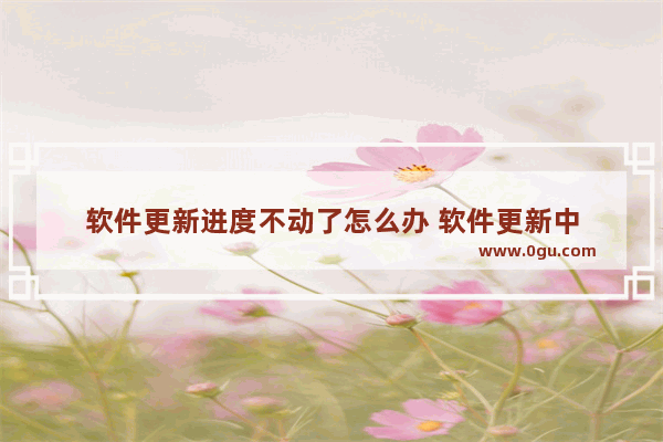 软件更新进度不动了怎么办 软件更新中
