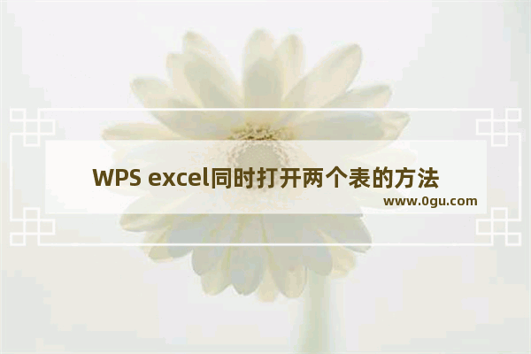 WPS excel同时打开两个表的方法