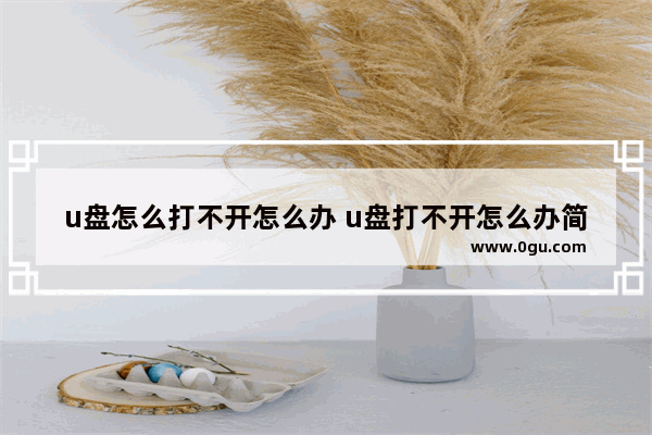u盘怎么打不开怎么办 u盘打不开怎么办简单几步搞定u盘修复