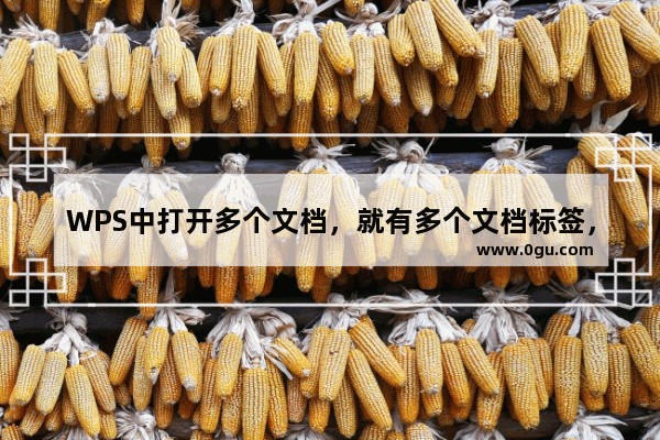 WPS中打开多个文档，就有多个文档标签，且这些标签可以随意移动