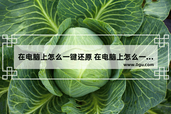 在电脑上怎么一键还原 在电脑上怎么一键还原网络