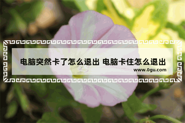 电脑突然卡了怎么退出 电脑卡住怎么退出