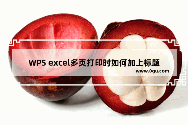 WPS excel多页打印时如何加上标题和页码