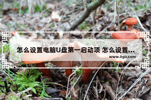 怎么设置电脑U盘第一启动项 怎么设置电脑u盘为第一启动项