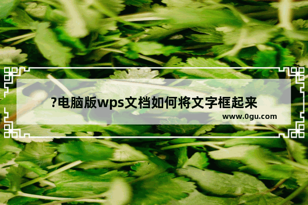 ?电脑版wps文档如何将文字框起来