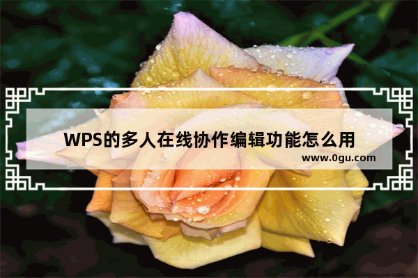 WPS的多人在线协作编辑功能怎么用