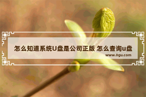 怎么知道系统U盘是公司正版 怎么查询u盘是不是正品
