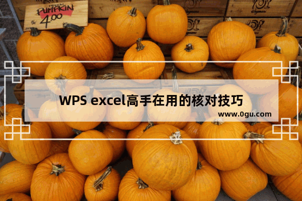 WPS excel高手在用的核对技巧