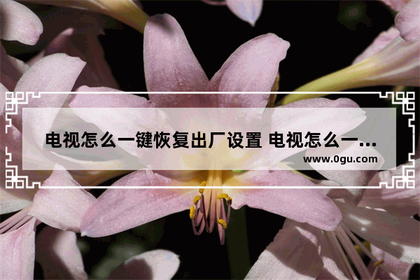 电视怎么一键恢复出厂设置 电视怎么一键恢复出厂设置密码
