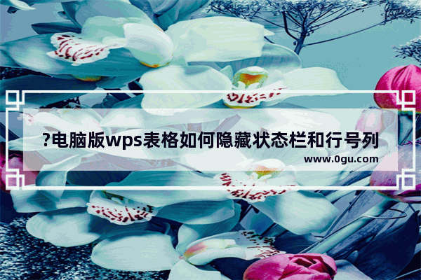 ?电脑版wps表格如何隐藏状态栏和行号列标