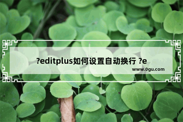 ?editplus如何设置自动换行 ?editplus设置段落自动换行的方法