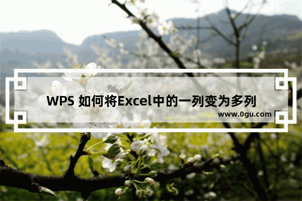 WPS 如何将Excel中的一列变为多列