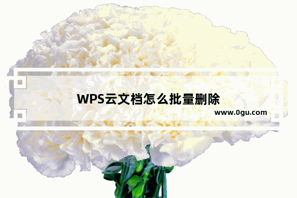 WPS云文档怎么批量删除