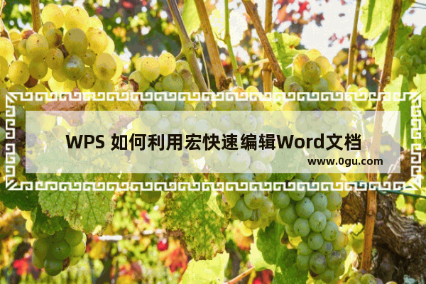 WPS 如何利用宏快速编辑Word文档