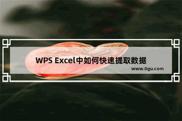 WPS Excel中如何快速提取数据